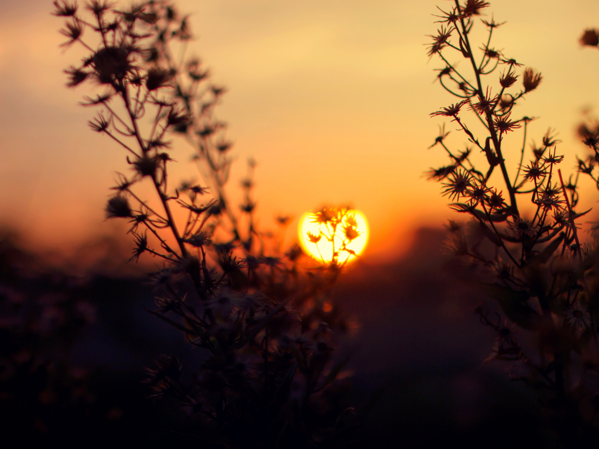 60 frases de gratidão a Deus que reconhecem bênçãos concedidas