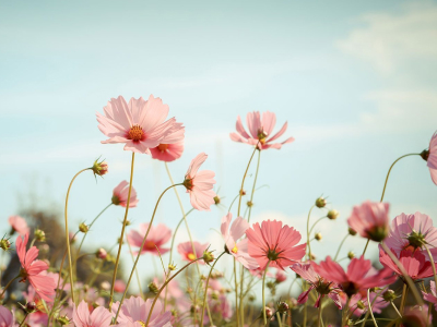 45 legendas de Deus para compartilhar toda a sua fé e confiança Nele