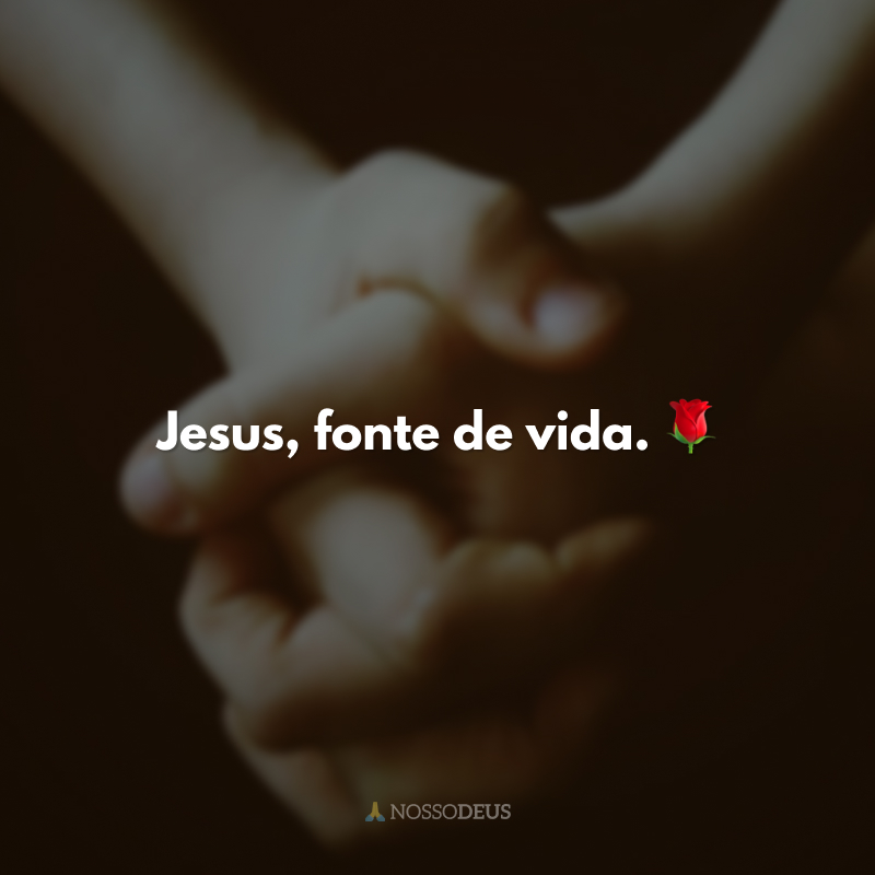 Jesus, fonte de vida. 🌹
