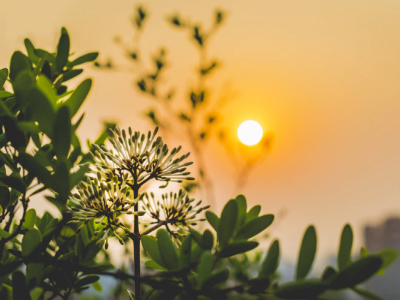 50 frases de bênção para clamar pela proteção de Deus em nossas vidas