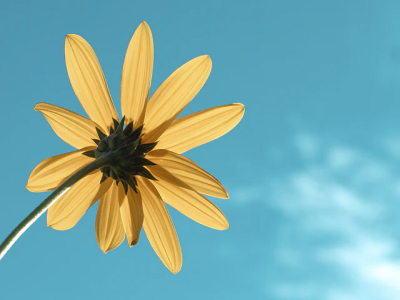 50 frases de louvor para prestar homenagens ao Pai