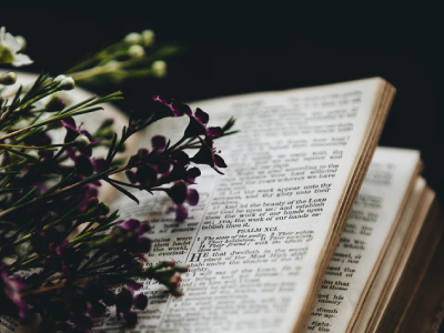 50 frases de Salmos para demonstrar toda sua fé nos planos do Salvador