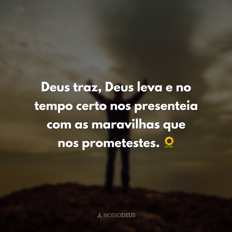 Deus traz, Deus leva e no tempo certo nos presenteia com as maravilhas que nos prometestes. 🌻