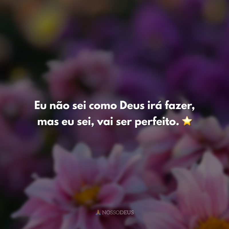 Eu não sei como Deus irá fazer, mas eu sei, vai ser perfeito. ⭐