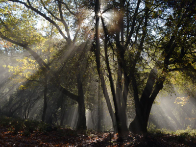 50 frases de livramento de Deus para confiar nos planos do Senhor