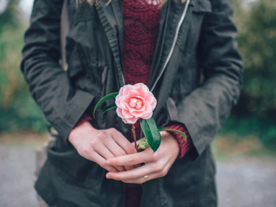 40 frases edificantes de Deus para crescer em graça e sabedoria