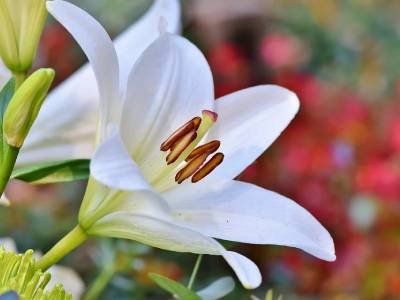 30 frases sobre esperar em Deus para acalmar o seu coração