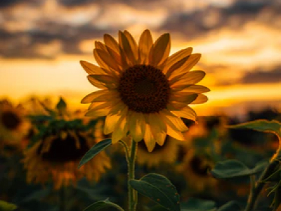 40 frases sobre tempo de Deus para fortalecer a fé e a esperança de quem crê