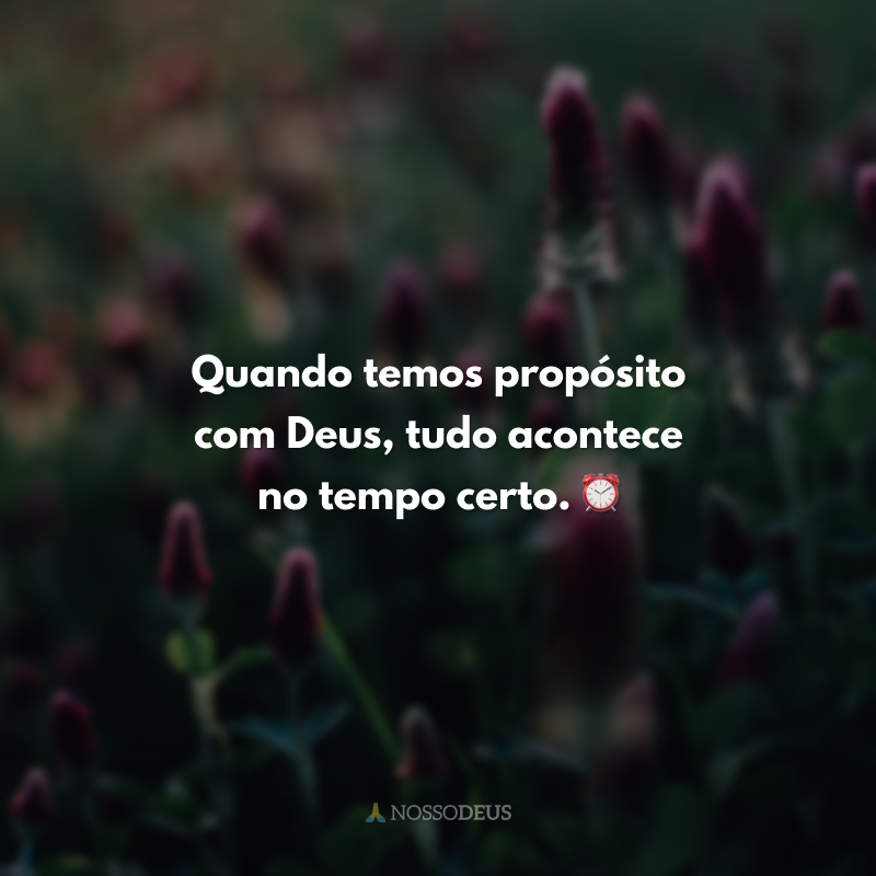 Quando temos propósito com Deus, tudo acontece no tempo certo. ⏰