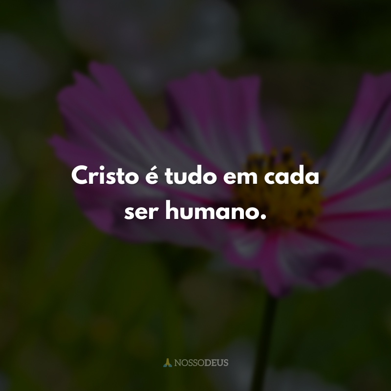 Cristo é tudo em cada ser humano. 