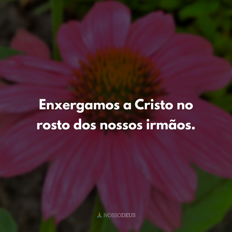 Enxergamos a Cristo no rosto dos nossos irmãos. 