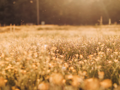 30 frases sobre poder de Deus para adorá-lo por sua grandeza