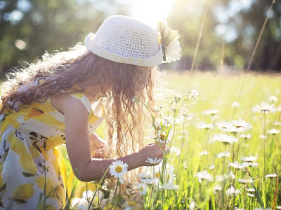 40 frases de boa tarde abençoada para compartilhar uma mensagem de paz