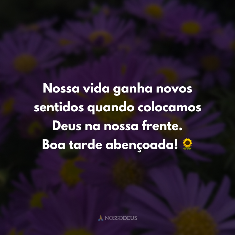 Nossa vida ganha novos sentidos quando colocamos Deus na nossa frente. Boa tarde abençoada! 🌻