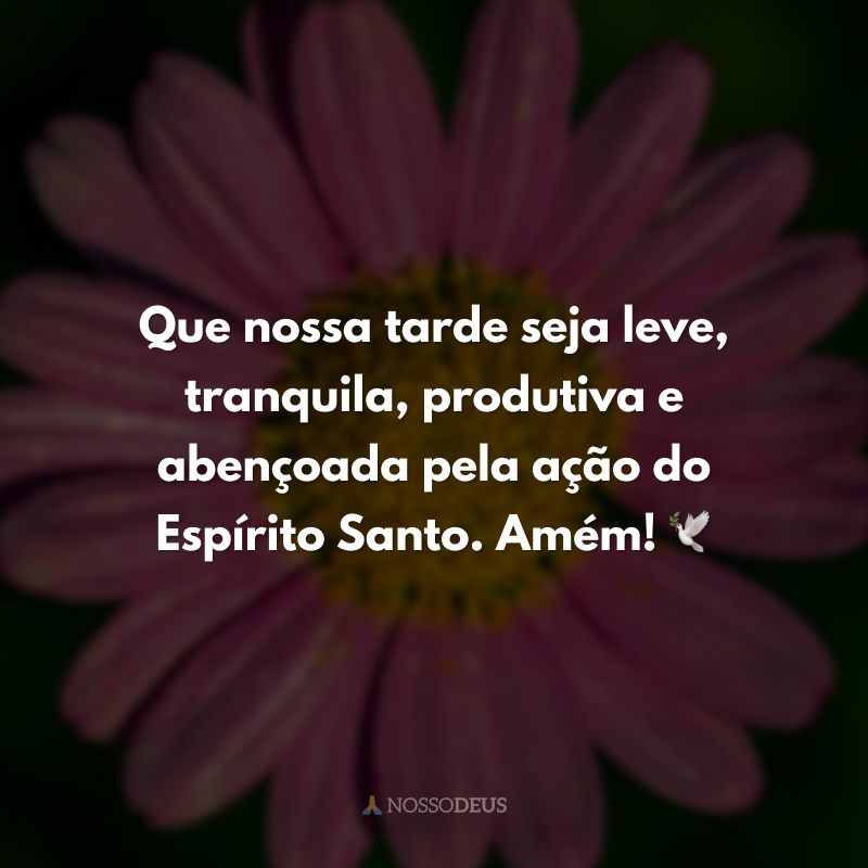 Que nossa tarde seja leve, tranquila, produtiva e abençoada pela ação do Espírito Santo. Amém! 🕊