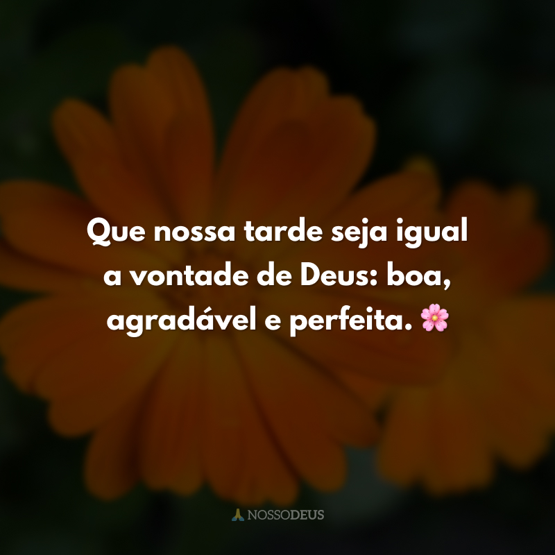 Que nossa tarde seja igual a vontade de Deus: boa, agradável e perfeita. 🌸