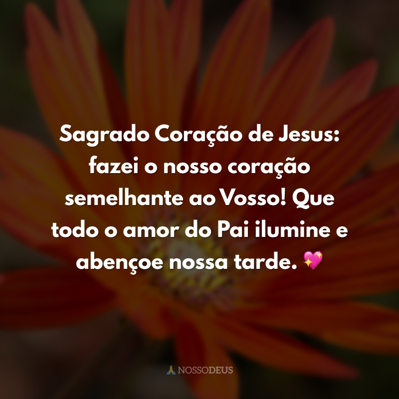 Sagrado Coração de Jesus: fazei o nosso coração semelhante ao Vosso! Que todo o amor do Pai ilumine e abençoe nossa tarde. 💖