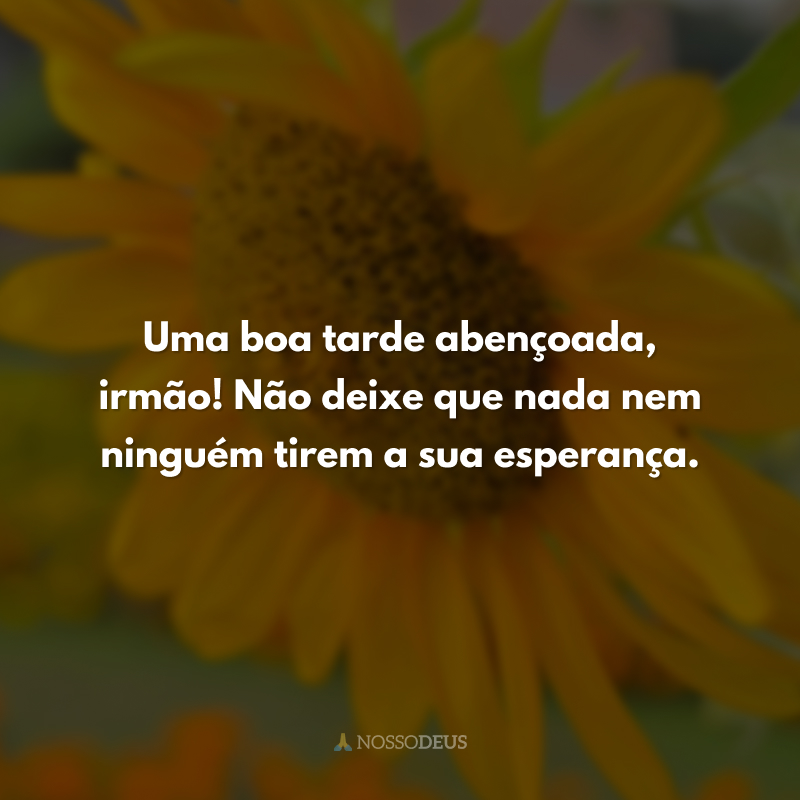 Uma boa tarde abençoada, irmão! Não deixe que nada nem ninguém tirem a sua esperança.