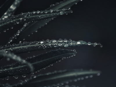 40 frases de chuva abençoada para agradecer as maravilhas do Senhor