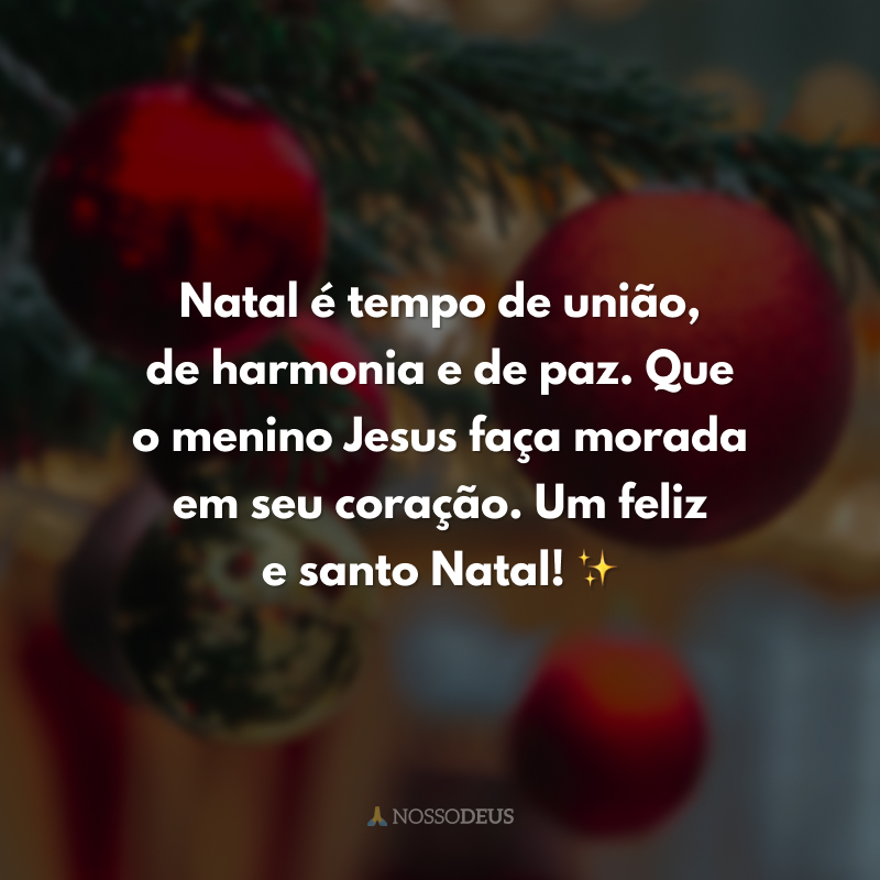 Natal é tempo de união, de harmonia e de paz. Que o menino Jesus faça morada em seu coração. Um feliz e santo Natal! ✨