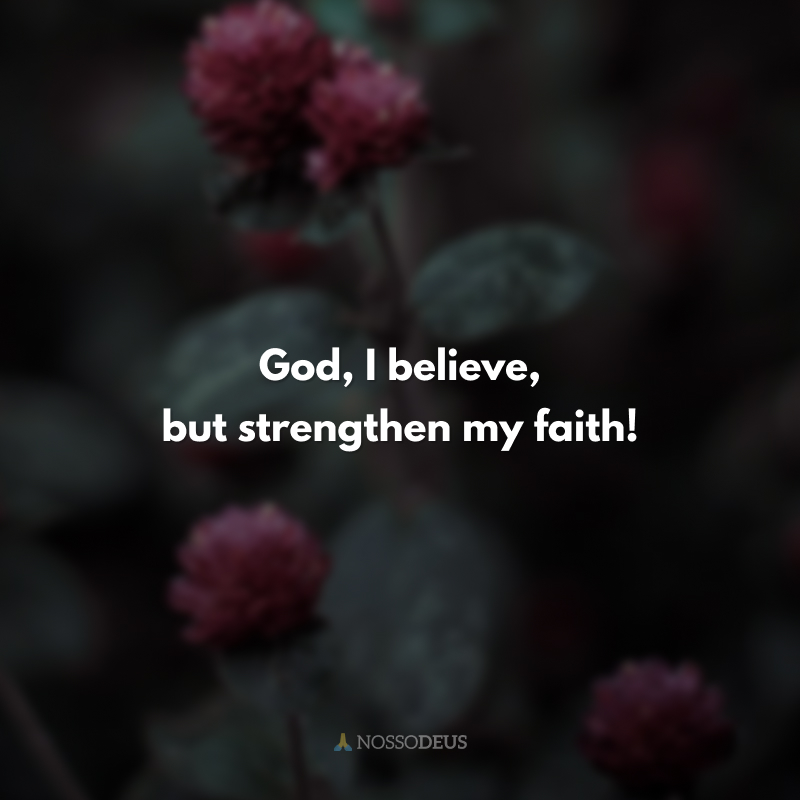 God, I believe, but strengthen my faith!
(Senhor, eu creio, mas aumentai a minha fé!)
