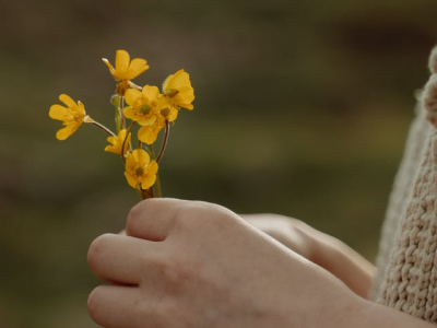 40 frases de versículos sobre prosperidade repletas da graça de Deus