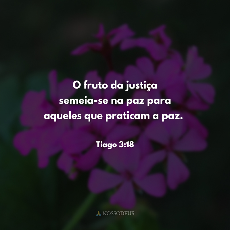 O fruto da justiça semeia-se na paz para aqueles que praticam a paz.
