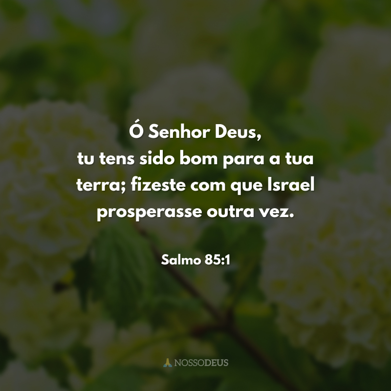 Ó Senhor Deus, tu tens sido bom para a tua terra; fizeste com que Israel prosperasse outra vez. 