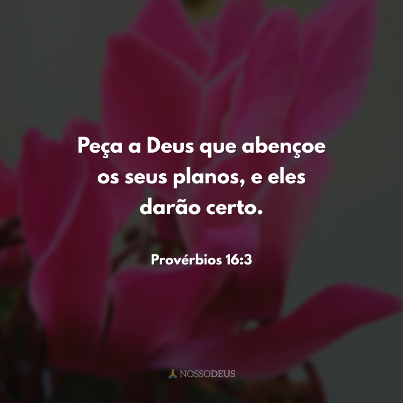 Peça a Deus que abençoe os seus planos, e eles darão certo. 