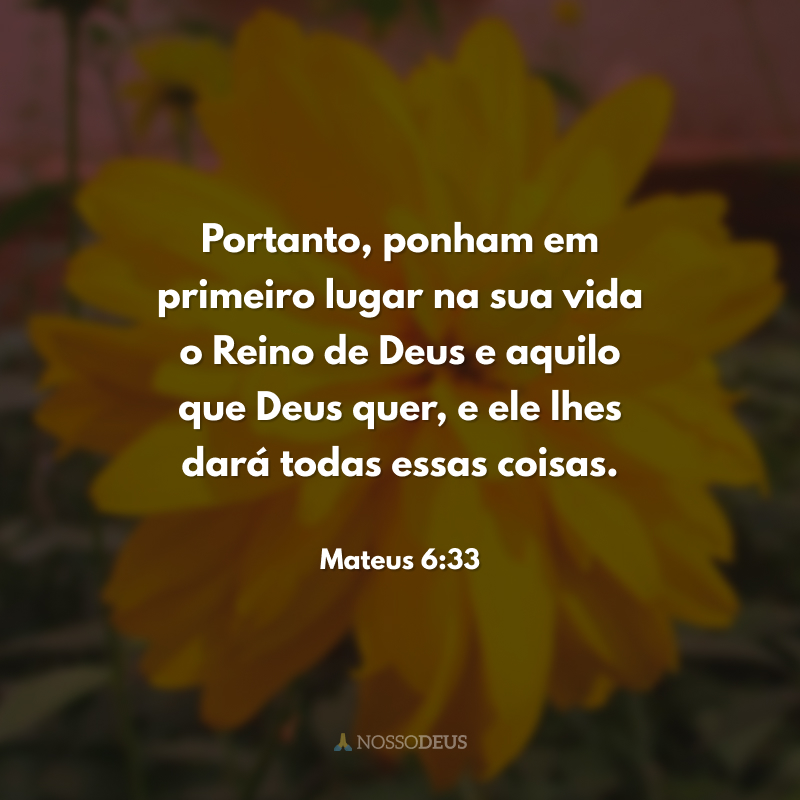 Portanto, ponham em primeiro lugar na sua vida o Reino de Deus e aquilo que Deus quer, e ele lhes dará todas essas coisas. 