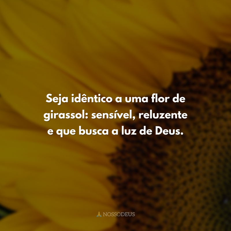 Seja idêntico a uma flor de girassol: sensível, reluzente e que busca a luz de Deus. 
