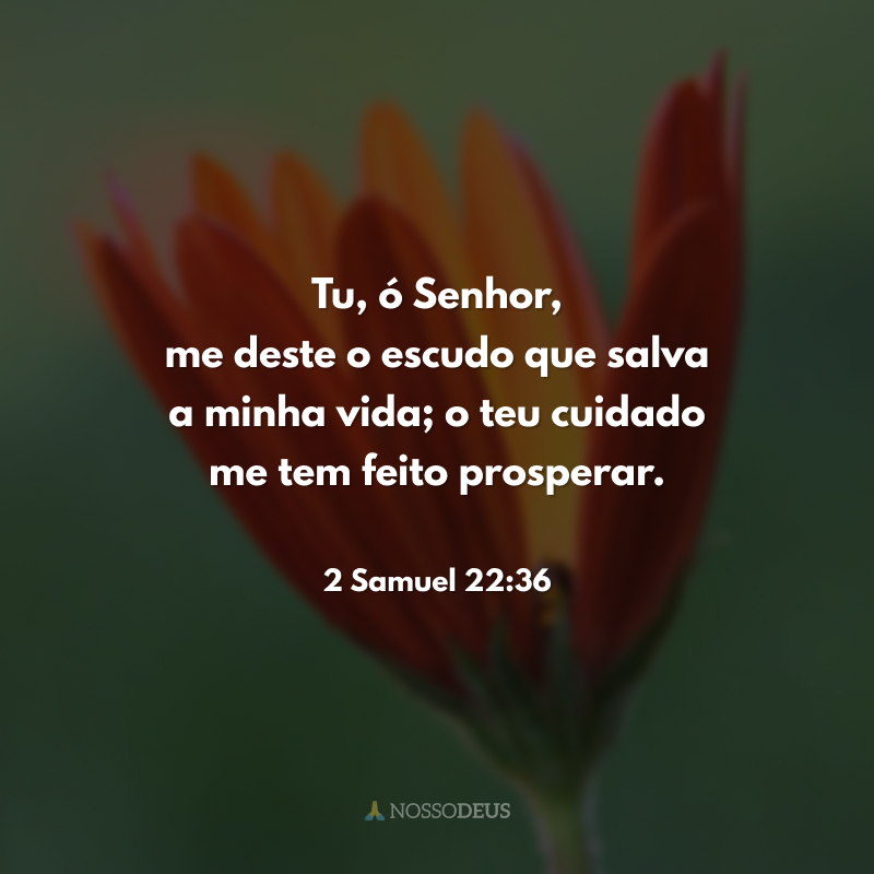 Tu, ó Senhor, me deste o escudo que salva a minha vida; o teu cuidado me tem feito prosperar.
