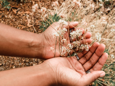 30 frases de oração da tarde que te abençoarão neste período do dia