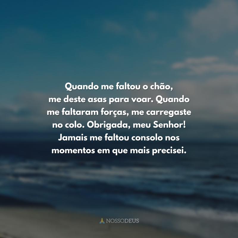 Quando me faltou o chão, me deste asas para voar. Quando me faltaram forças, me carregaste no colo. Obrigada, meu Senhor! Jamais me faltou consolo nos momentos em que mais precisei.
