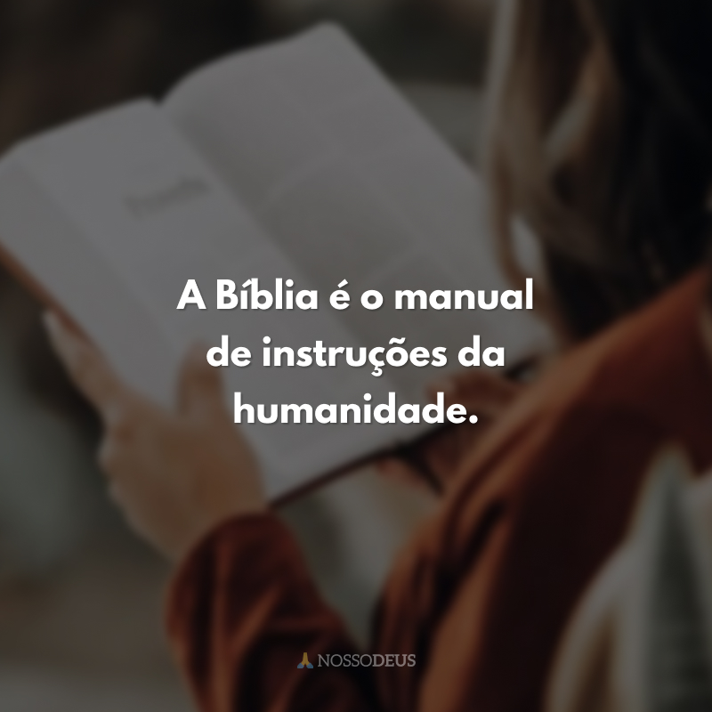 A Bíblia é o manual de instruções da humanidade.