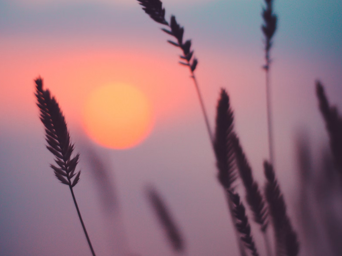 30 frases de Deus está contigo que manifestam Sua graça e unção