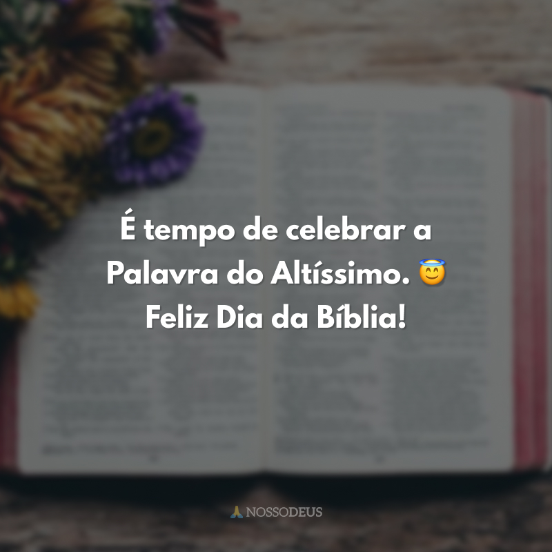 É tempo de celebrar a Palavra do Altíssimo. 😇 Feliz Dia da Bíblia! 