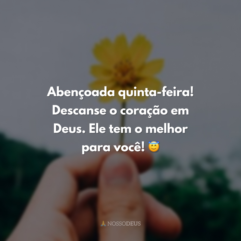 Abençoada quinta-feira! Descanse o coração em Deus. Ele tem o melhor para você! 😇