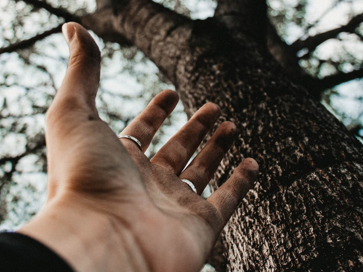 45 frases de bom dia com Deus no coração para alegrar sua manhã