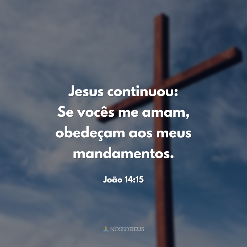 Jesus continuou: — Se vocês me amam, obedeçam aos meus mandamentos. 