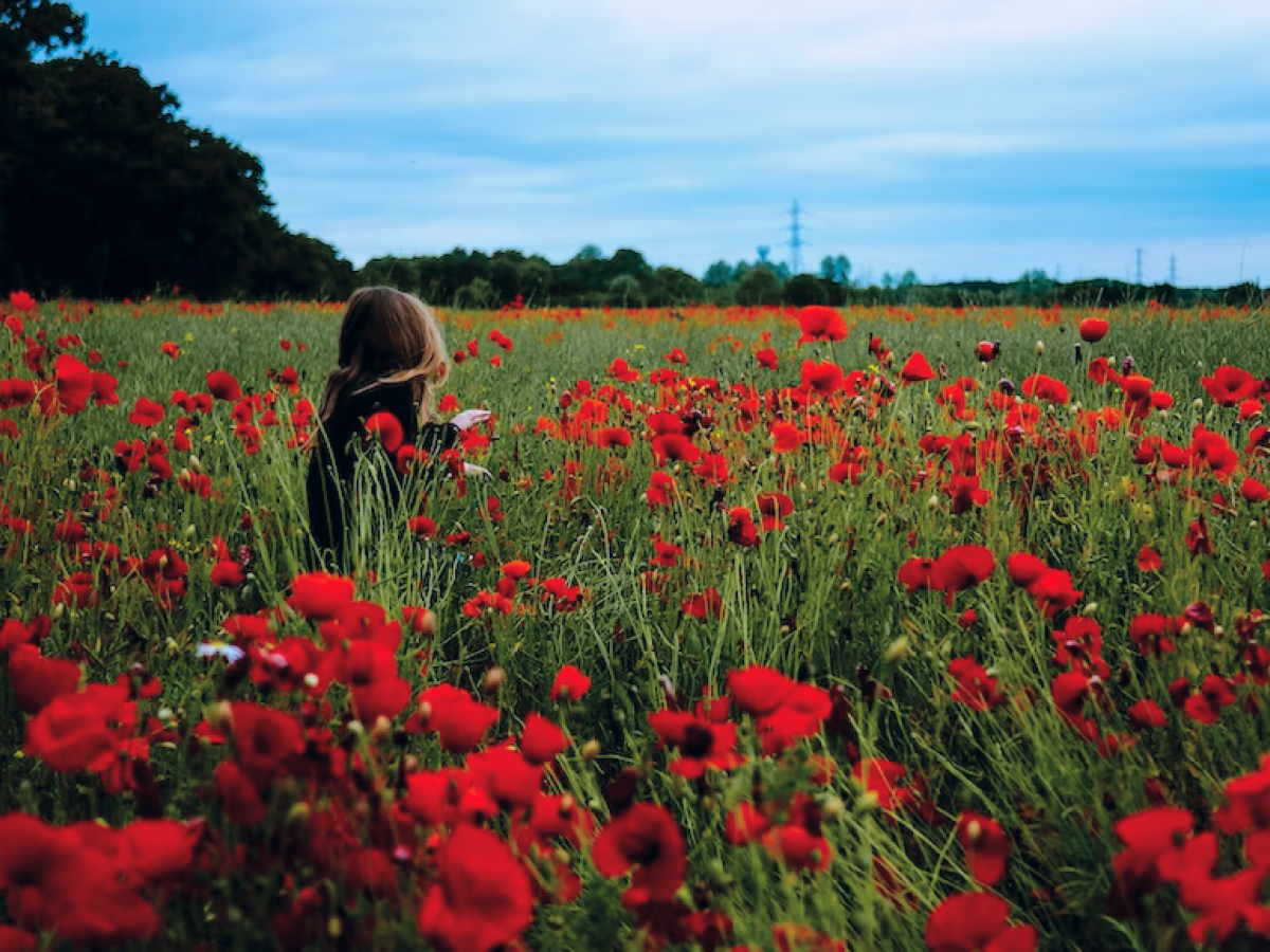 60 frases bíblicas curtas para compartilhar a palavra de Deus