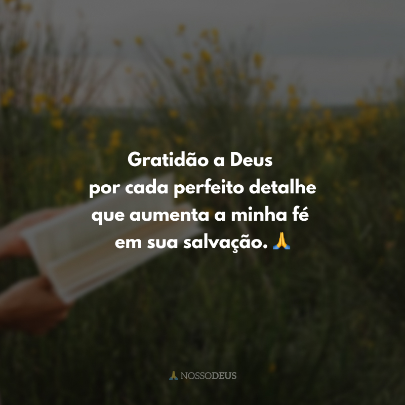 Gratidão a Deus por cada perfeito detalhe que aumenta a minha fé em sua salvação. 🙏