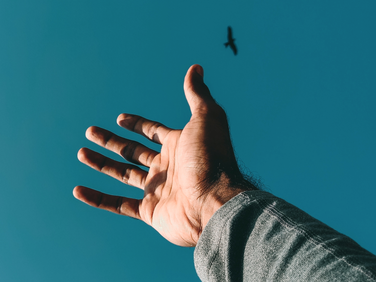 Bom dia, quinta-feira abençoada: 30 frases para acordar com a força do alto