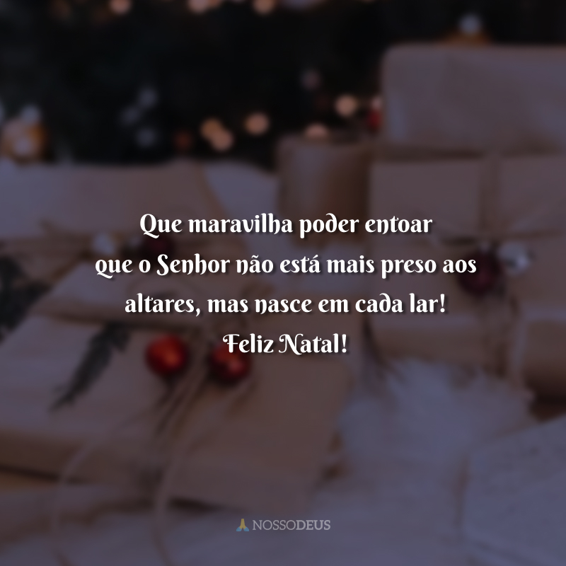 Que maravilha poder entoar que o Senhor não está mais preso aos altares, mas nasce em cada lar! Feliz Natal! Que a presença do Menino Deus traga o amor divino aos corações, instaure o perdão e permaneça em meio à sua família. Onde Ele se encontra, reina a paz! Feliz Natal.